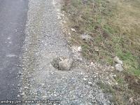 Imagine atasata: IMG_20150222_141326.jpg